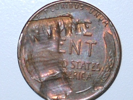 Whats-Going-On-With-This-Wheatie?!