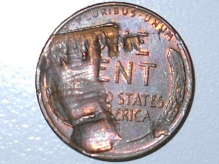 Whats-Going-On-With-This-Wheatie?!