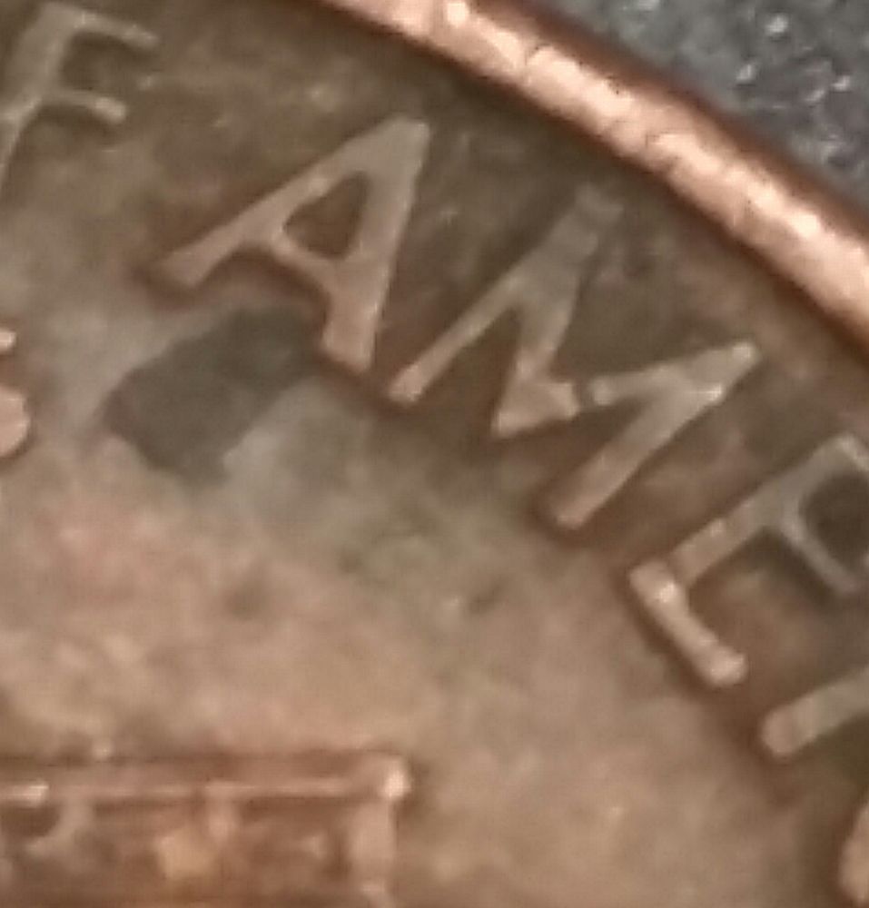 1996-D-Wide-AM-Penny