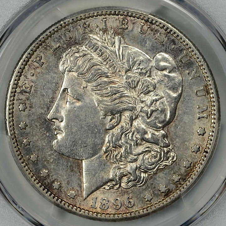 What-Grade-Would-You-Give-This-1896-S-Morgan?