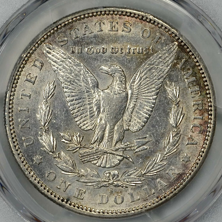 What-Grade-Would-You-Give-This-1896-S-Morgan?