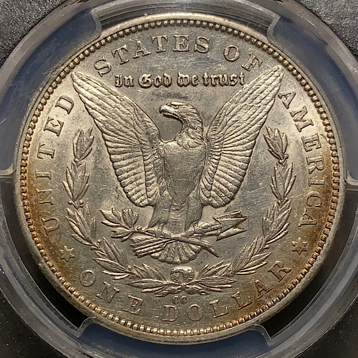 How-Would-You-Grade-This-1879-CC-Morgan?