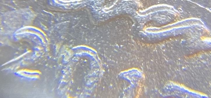 2017-D-Jefferson-Nickel-Double-Die-Or-Machine-Double