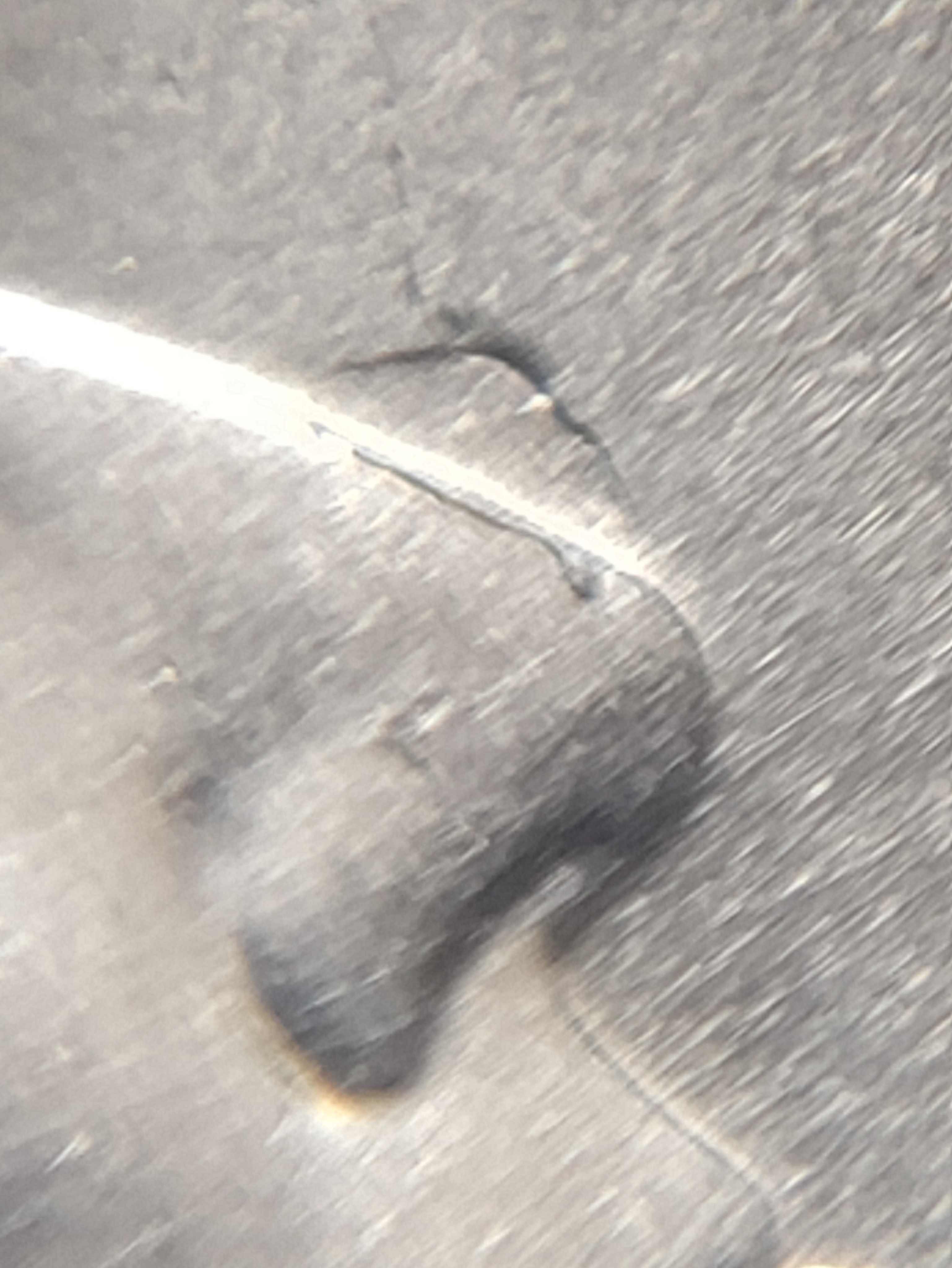 2022-D-Nina-Warren-Quarter-Die-Chip-And-Die-Crack?