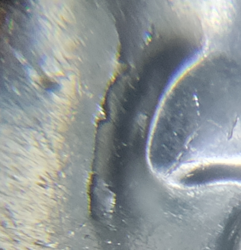 2023-D-Edith-Porter-Quarter-Crack-Die?
