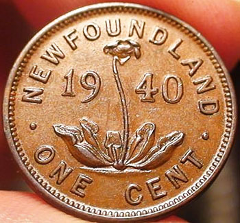 Help-Me-Grade-This-NFL-Penny:-Update