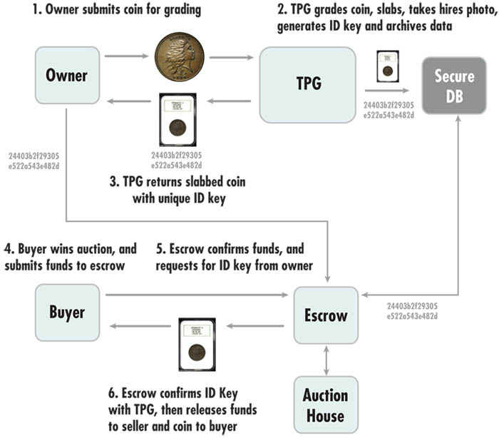 TPGs-And-Chinese-Counterfeit-Slabs/Coins,-Solution...
