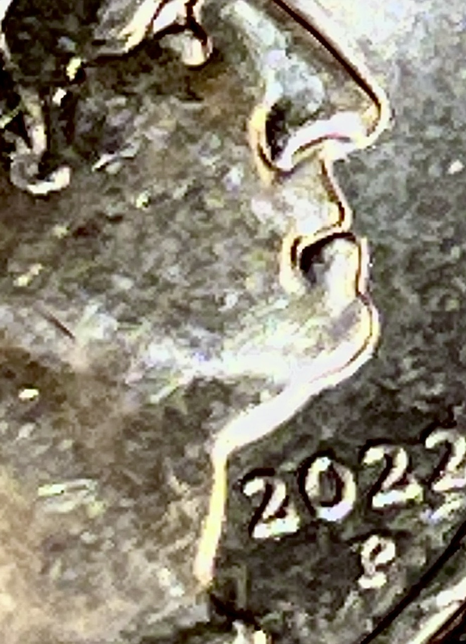 2022-Maya,-Angelou-Never-Seen-Error?