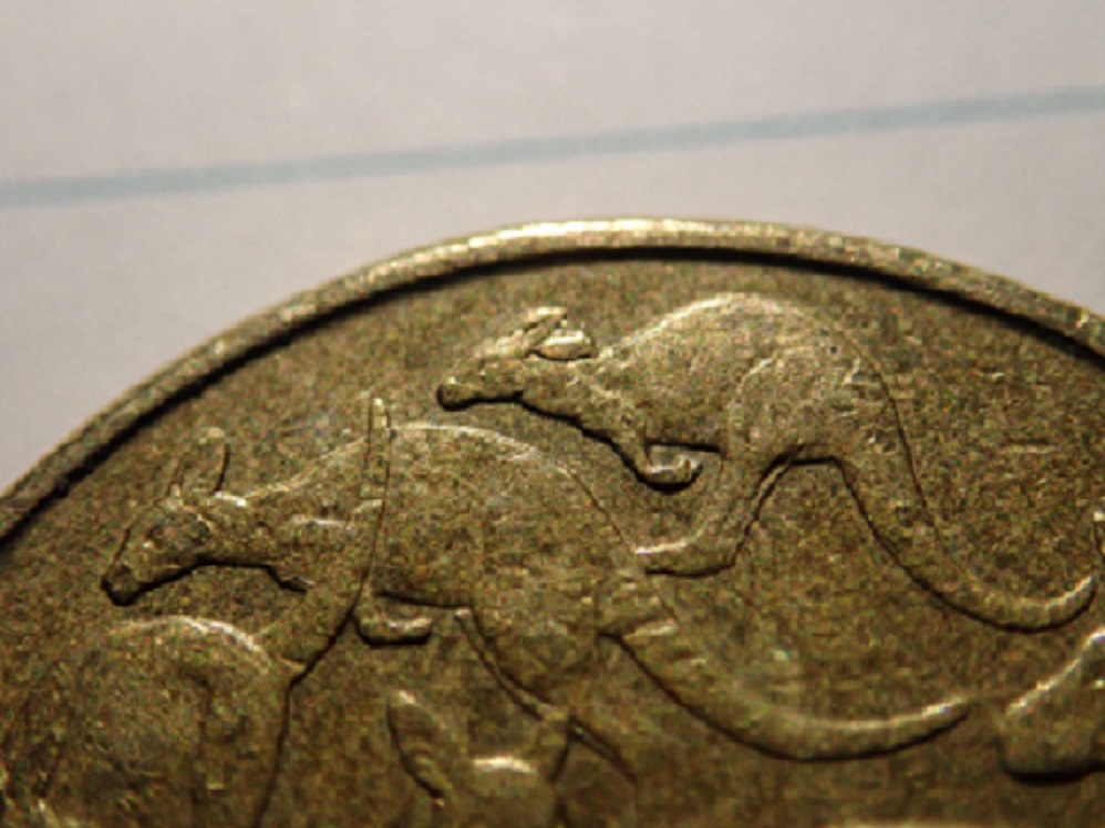 Noodling-Find-Of-The-Week?