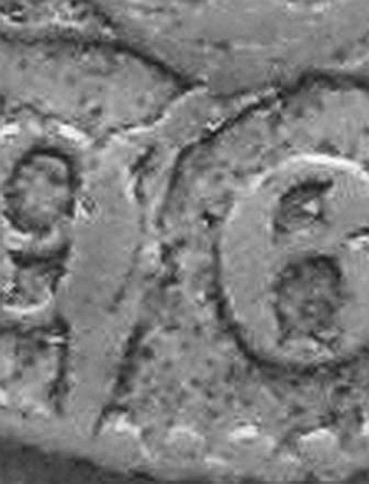 Colombian-Calarca-Coin-With-A-Lot-Of-Nice-Errors