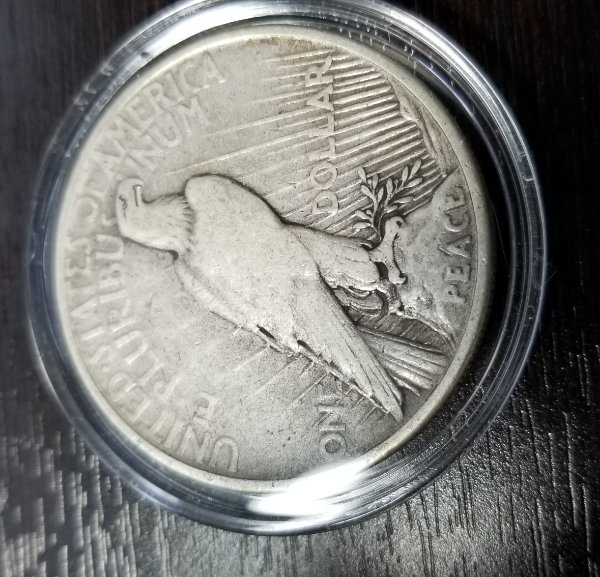 Just-Picked-Up-This-1921-Peace-Dollar