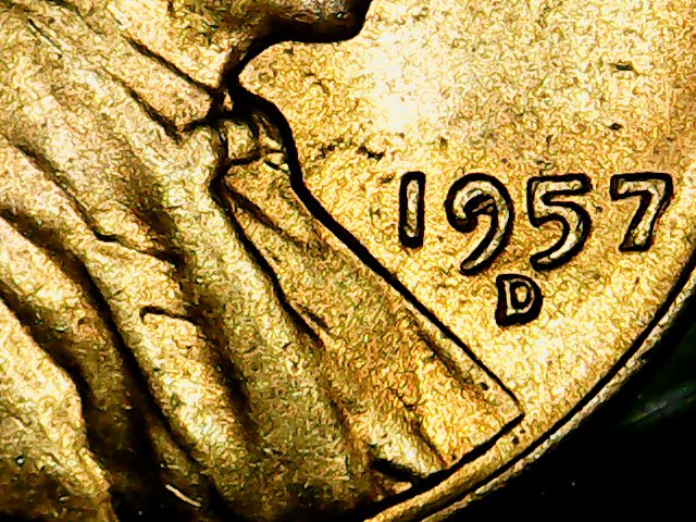 Newbie-Needing-Guidance.