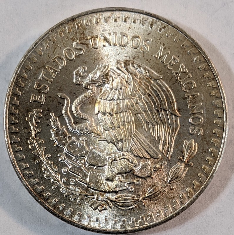 ANACS-Conservation-Before-And-After