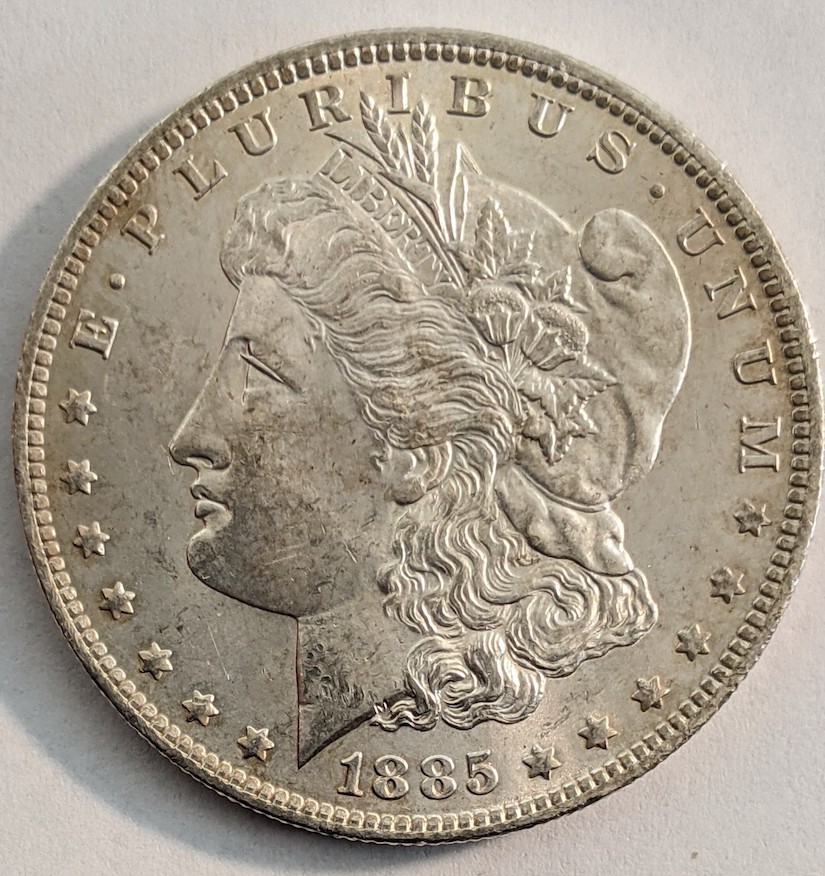 ANACS-Conservation-Before-And-After