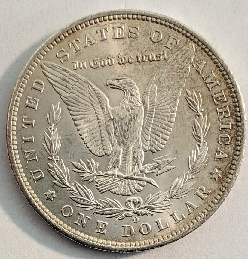 ANACS-Conservation-Before-And-After