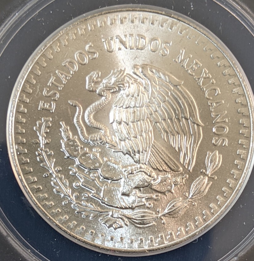 ANACS-Conservation-Before-And-After