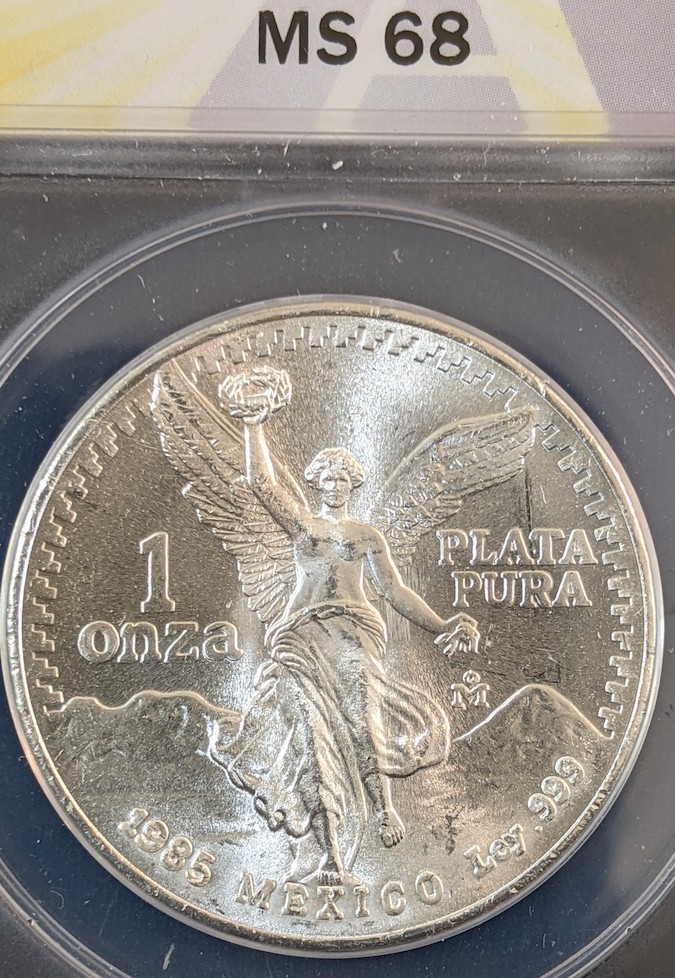 ANACS-Conservation-Before-And-After