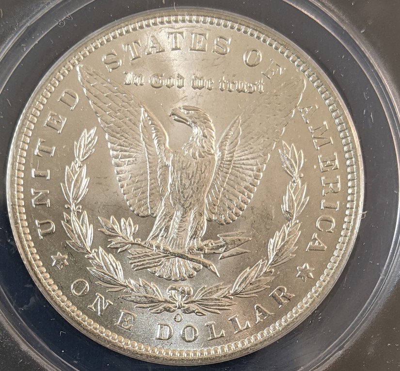 ANACS-Conservation-Before-And-After