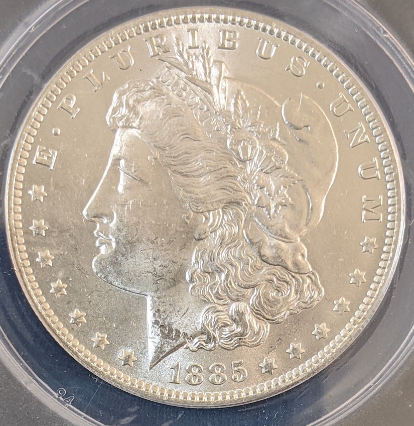 ANACS-Conservation-Before-And-After