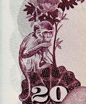 Monkeys-And-Other-Primates-On-Banknotes
