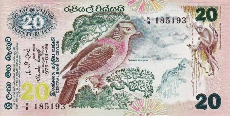 Monkeys-And-Other-Primates-On-Banknotes