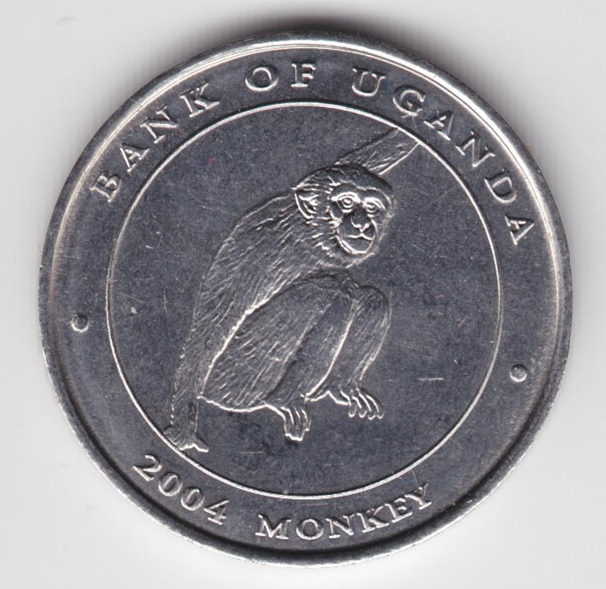 Post-Your-Coins-With-Monkeys,-Apes-And-Other-Primates