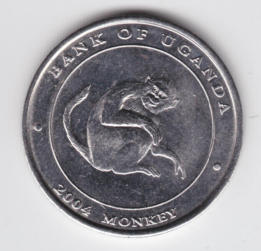 Post-Your-Coins-With-Monkeys,-Apes-And-Other-Primates