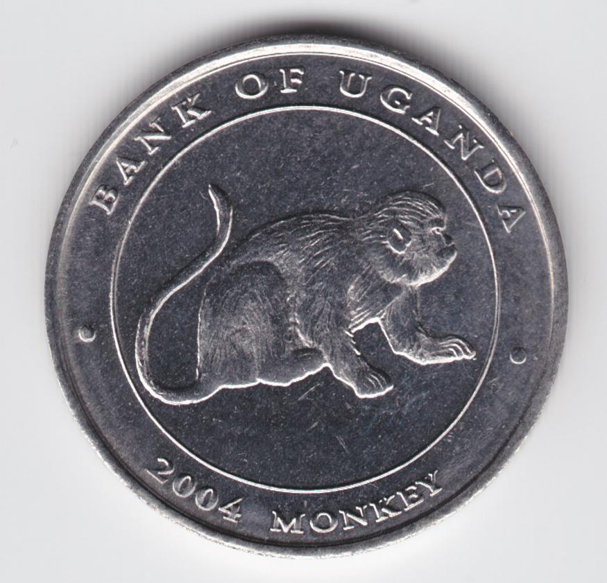 Post-Your-Coins-With-Monkeys,-Apes-And-Other-Primates