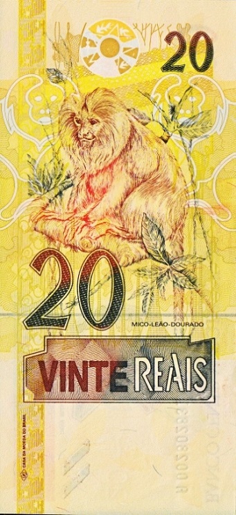 Monkeys-And-Other-Primates-On-Banknotes