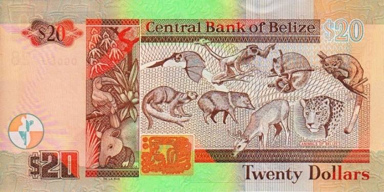 Monkeys-And-Other-Primates-On-Banknotes