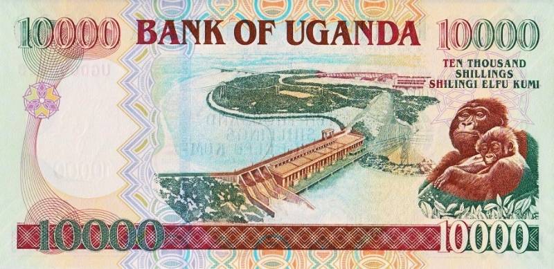 Monkeys-And-Other-Primates-On-Banknotes