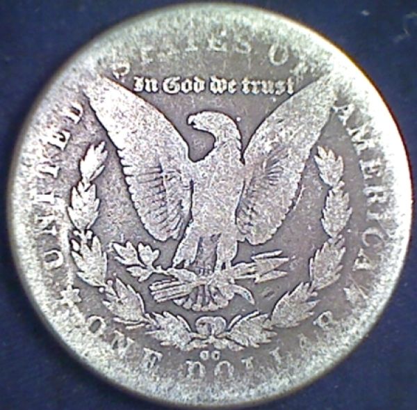 1878-CC-What-A-Beauty?