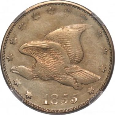Your-Favorite-Eagle-On-A-Coin