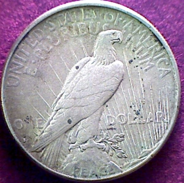 Your-Thoughts-On-My-Not-So-New-1934-S-Peace-$
