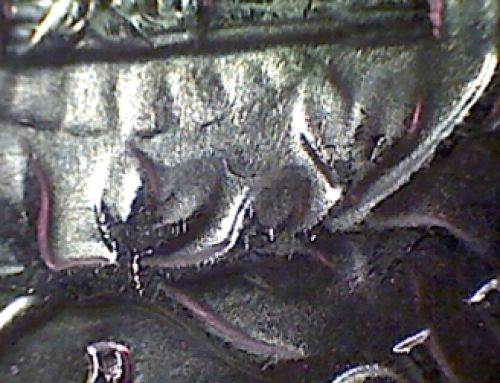 1958-D-Fish-Hook-Error-On-Reverse.