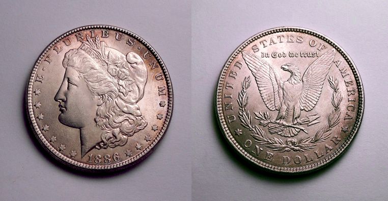 For-Grading---1886-Morgan-Dollar-Even-More-Pics