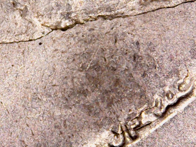 2008-Alaska-Quarter-Error?