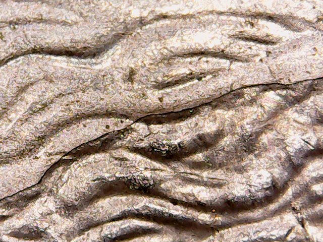 Better-Pictures-Of-2008-Major-Obverse-Error?