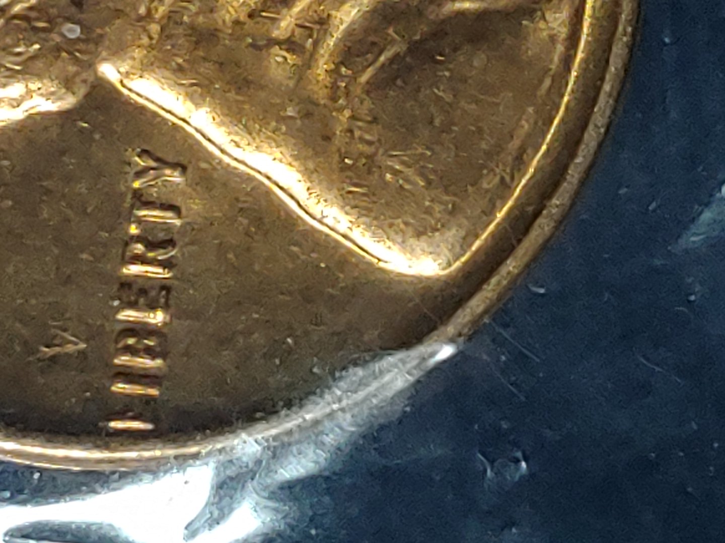 1955-DDO-Or-MS-?-Any-Insight-Would-Help