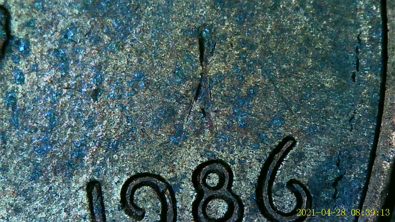 1986-Penny-,-Possible-Mule-?-Any-Help-Is-Appreciated