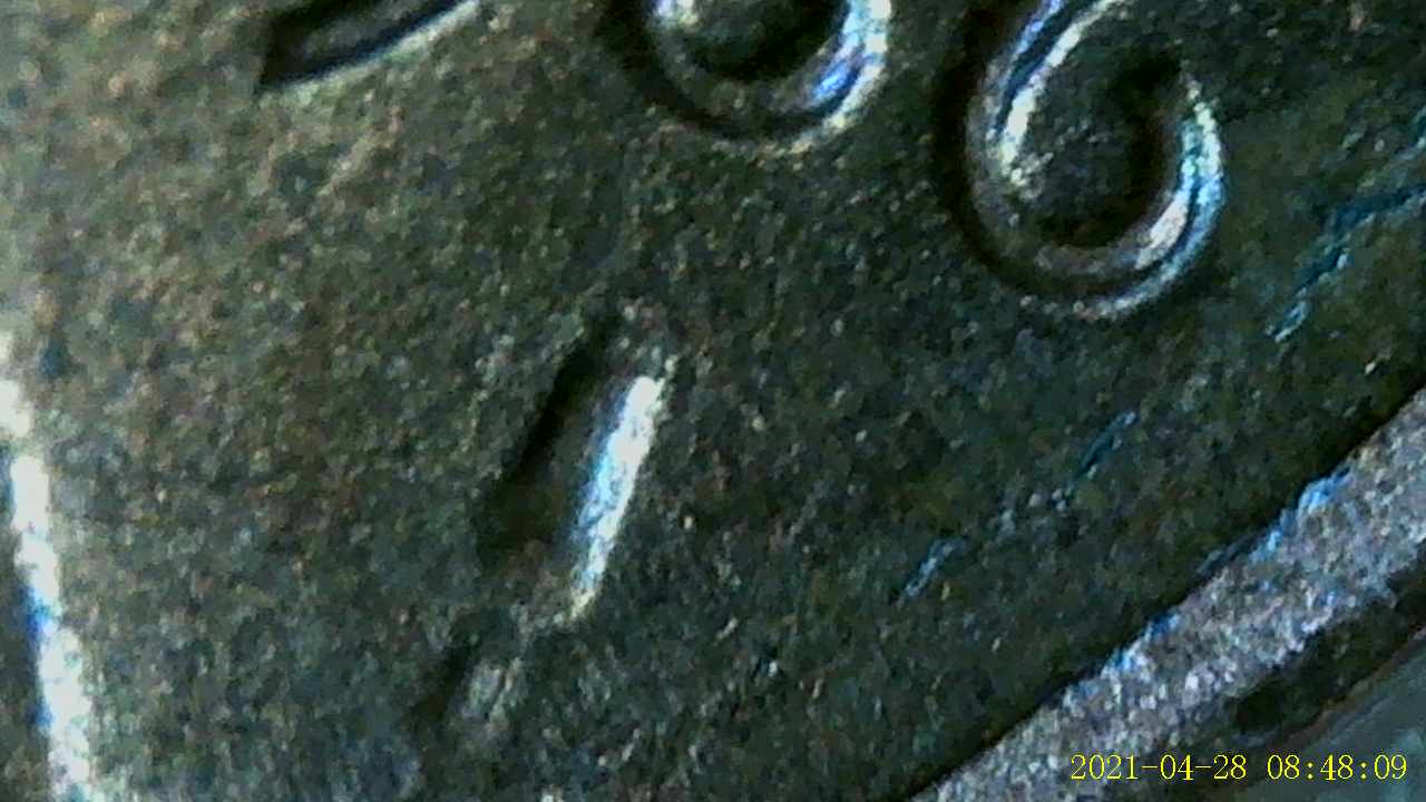 1986-Penny-,-Possible-Mule-?-Any-Help-Is-Appreciated
