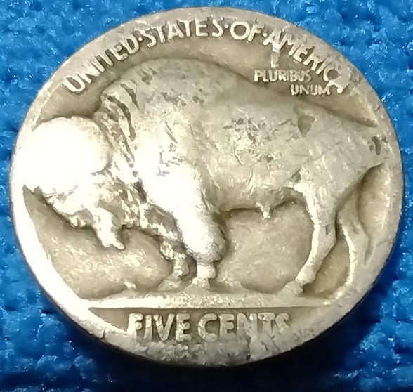 No-Date-Buffalo-Nickel-In-Question.