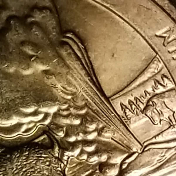2010-Yellowstone-Washington-Quarter,-Outlining-On-Smaller-Buffalo?
