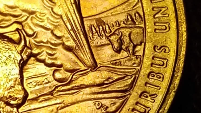 2010-Yellowstone-Washington-Quarter,-Outlining-On-Smaller-Buffalo?
