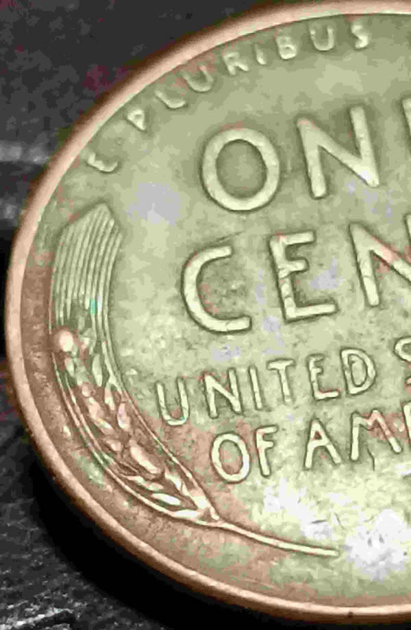 1956-P-LWC-Left-Wheat-Has-Raised-Globbing?