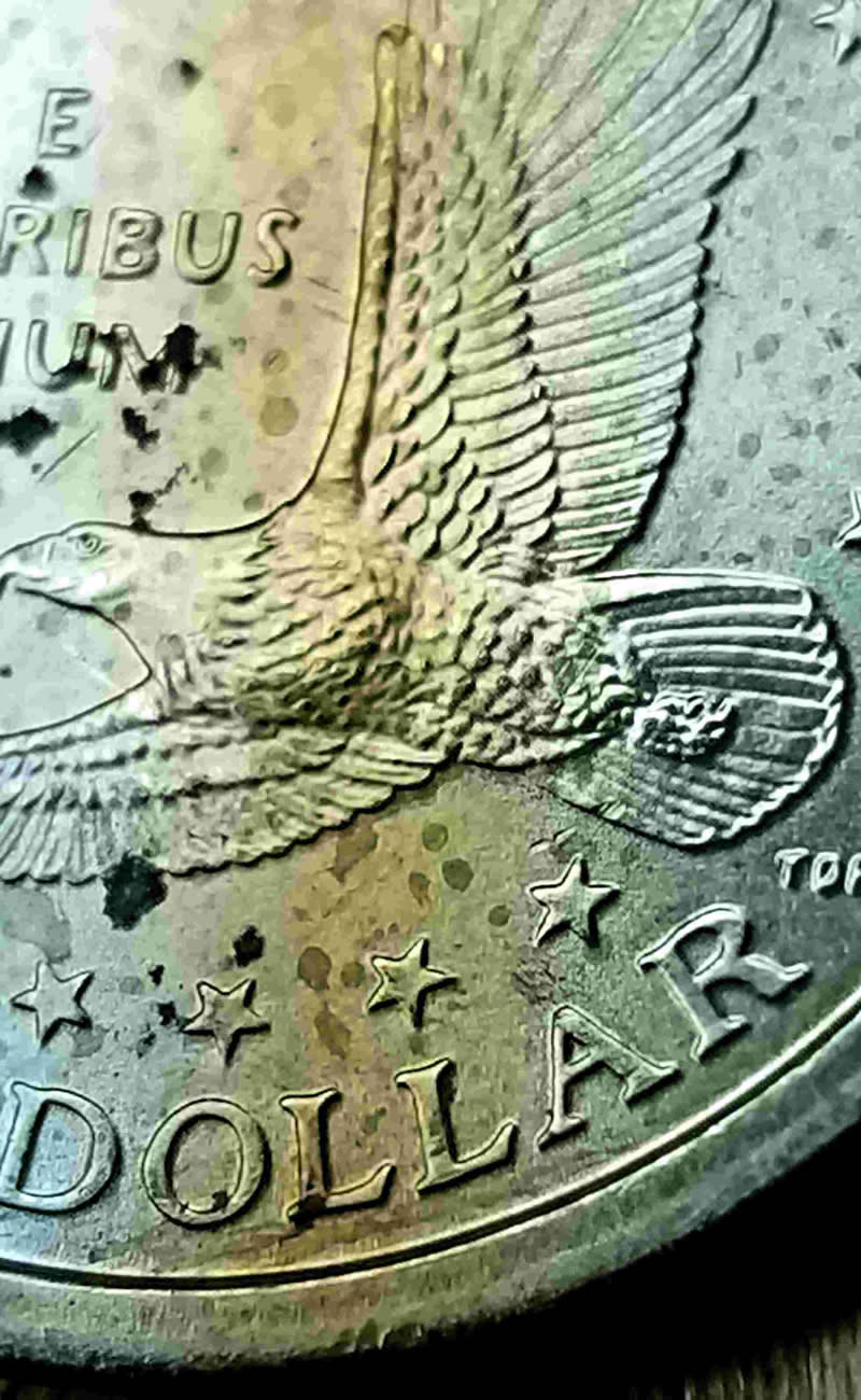 2000-P-Sacagawea-Dollar,-Die-Chip?-Cheerio?