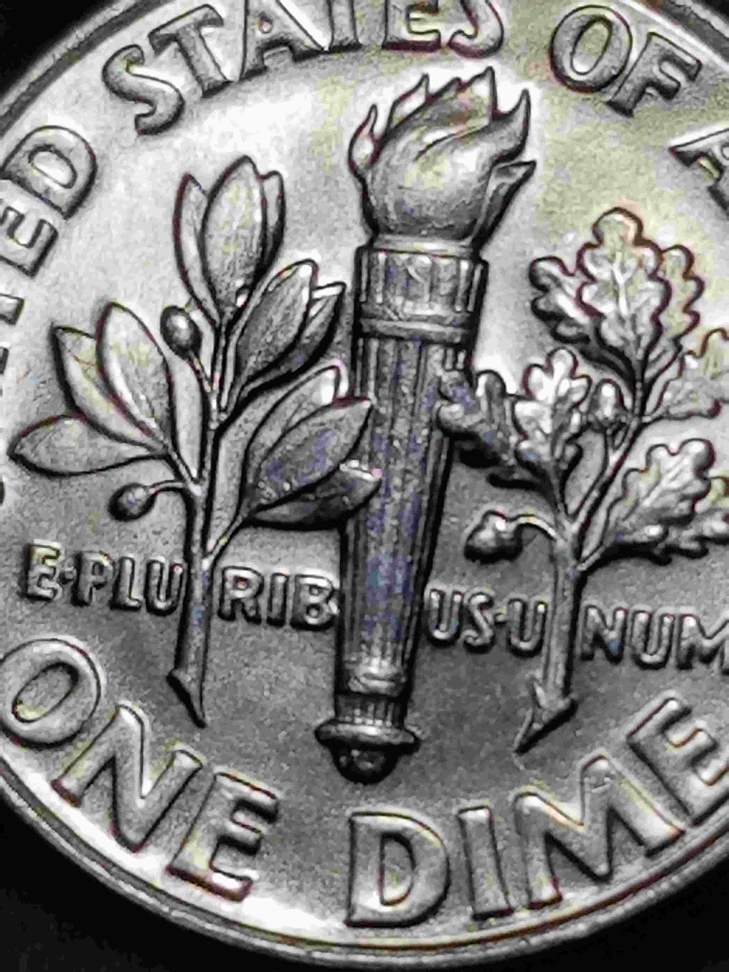 2008-D-Roosevelt-Dime,--Poss.-Doubling-On-Rear-Left-Leaves?