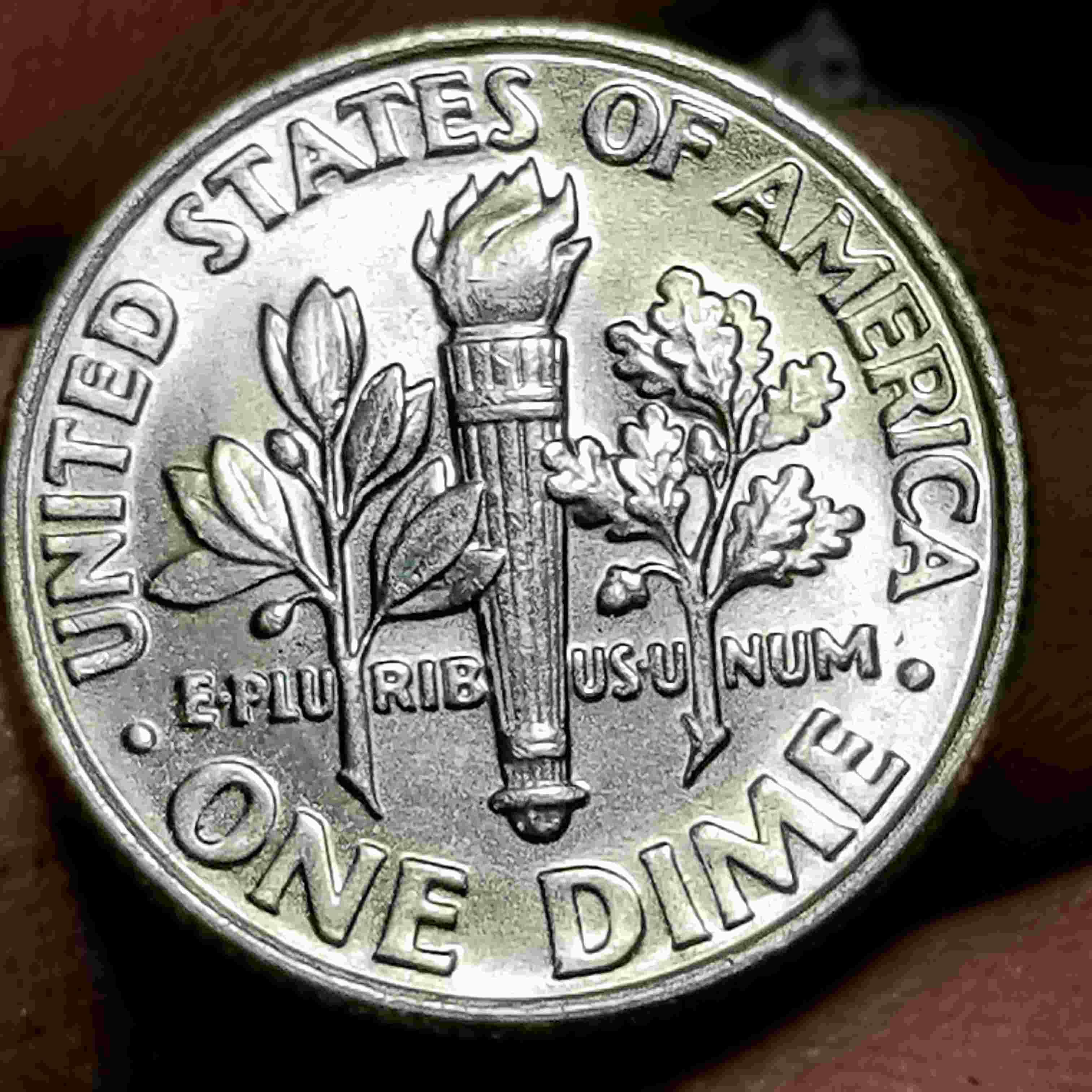 2008-D-Roosevelt-Dime,--Poss.-Doubling-On-Rear-Left-Leaves?