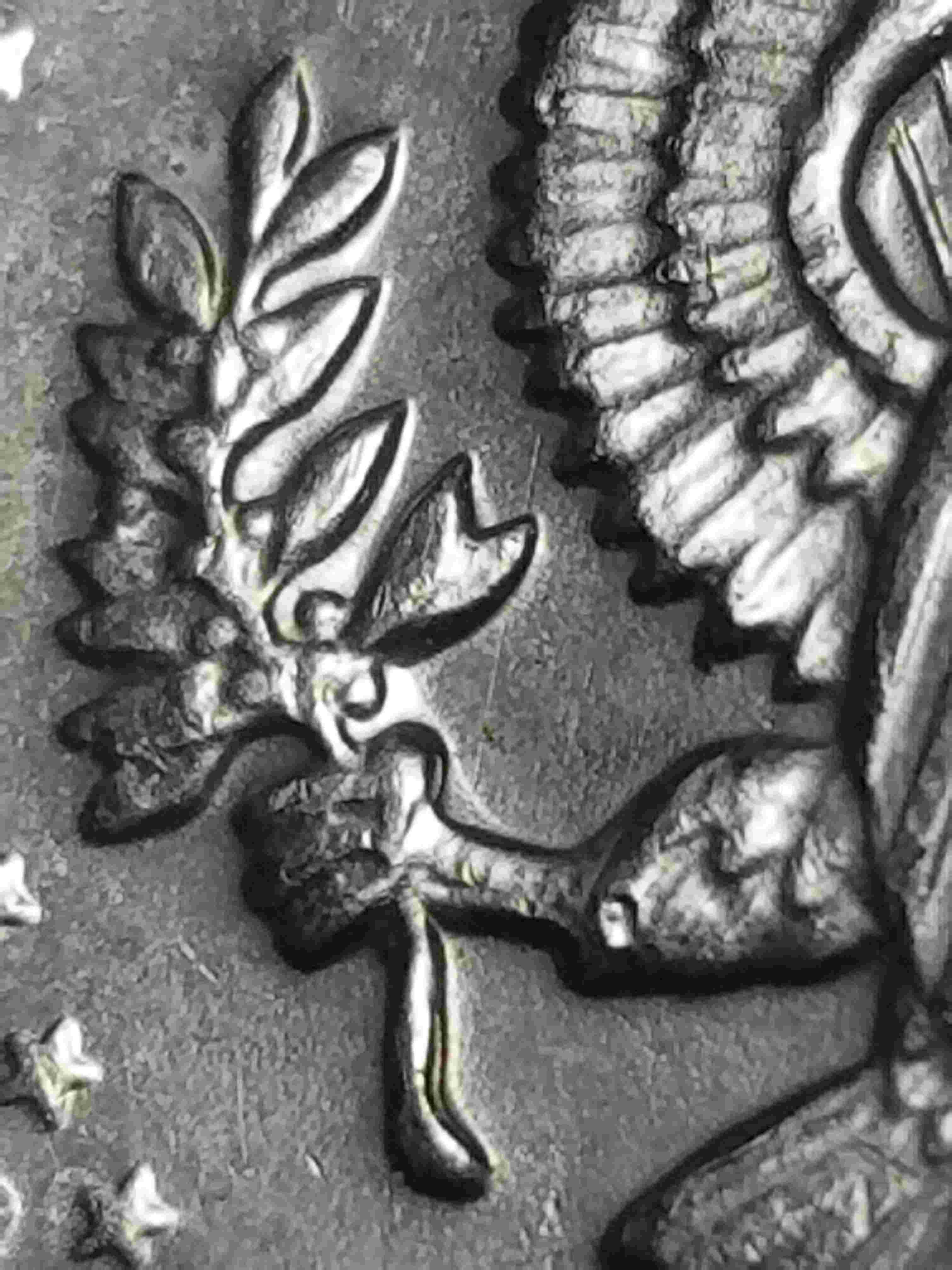 1971-D-Kennedy-Half-Dollar-Error-Coin-/-Tell-Me-It's-M.d-🤐