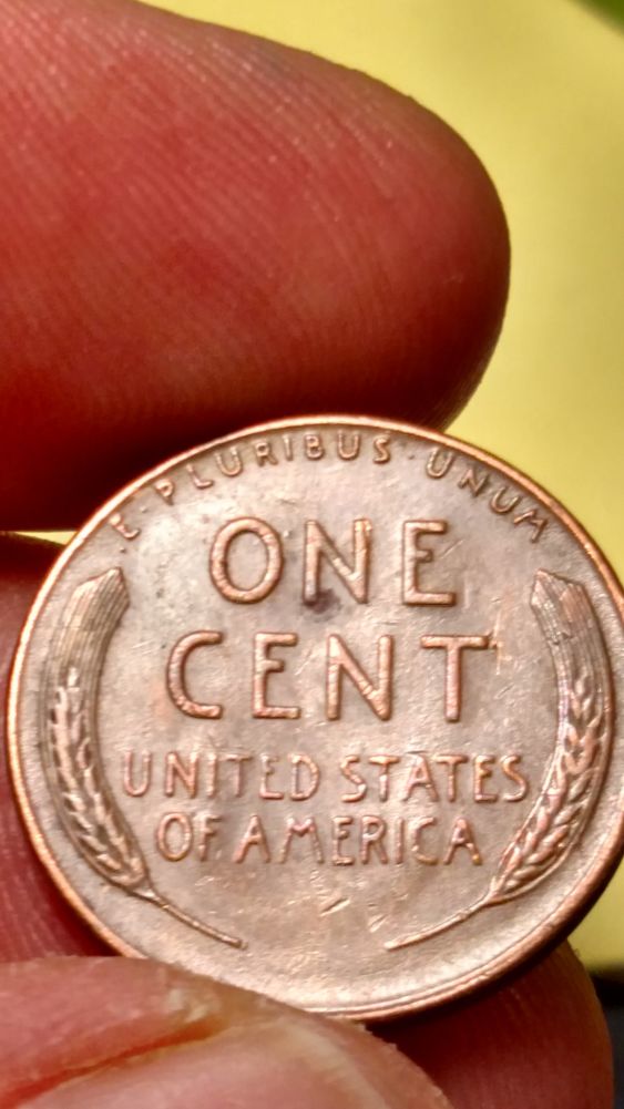Coin-Roll-Hunting-Error-Found.